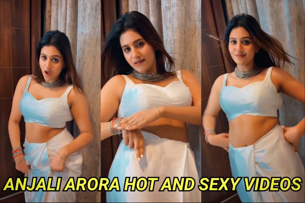 Anjali Arora Hot Videos अंजलि अरोड़ा ने फिर लूट ली महफ़िल...हाॅट डांस मूव्स देख फैंस के छूटे पसीने, आप भी देखें