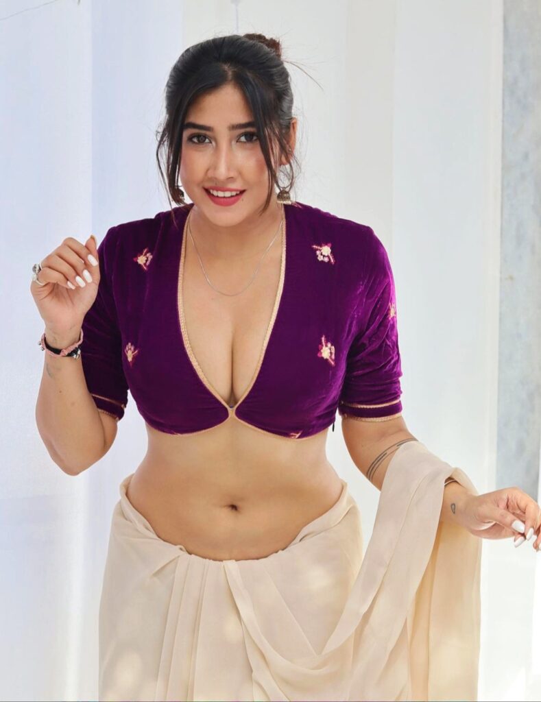 Sofia Ansari in Saree